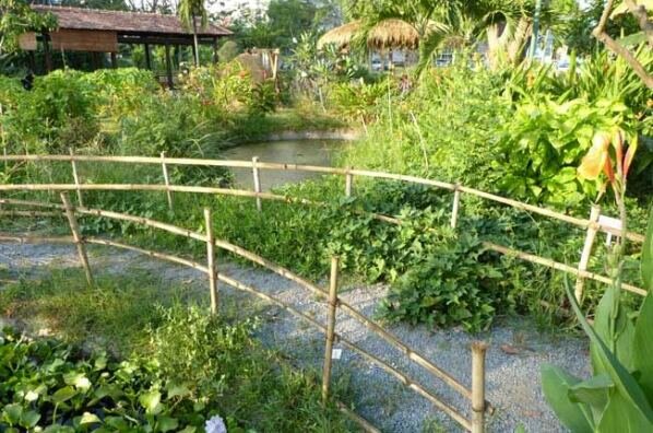 Sổ tay du lịch so tay du lich Sotaydulich Sotay Dulich Khampha Kham Pha Bui Lang que moc mac ngay tai Phu My Hung