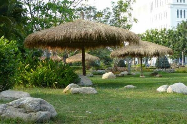 Sổ tay du lịch so tay du lich Sotaydulich Sotay Dulich Khampha Kham Pha Bui Lang que moc mac ngay tai Phu My Hung