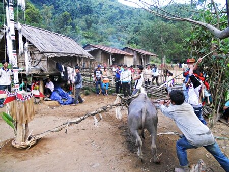 Sổ tay du lịch so tay du lich Sotaydulich Sotay Dulich Khampha Kham Pha Bui Tung bung mua hoi dam trau o Quang Nam