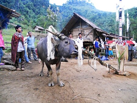 Sổ tay du lịch so tay du lich Sotaydulich Sotay Dulich Khampha Kham Pha Bui Tung bung mua hoi dam trau o Quang Nam