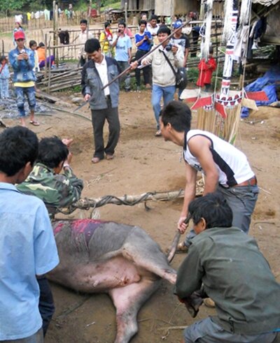 Sổ tay du lịch so tay du lich Sotaydulich Sotay Dulich Khampha Kham Pha Bui Tung bung mua hoi dam trau o Quang Nam