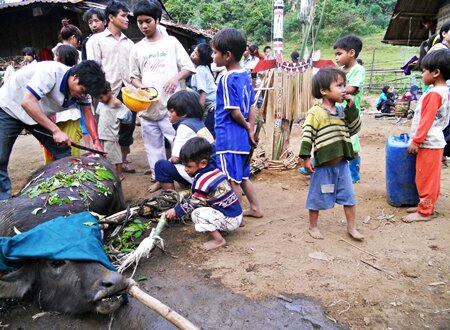 Sổ tay du lịch so tay du lich Sotaydulich Sotay Dulich Khampha Kham Pha Bui Tung bung mua hoi dam trau o Quang Nam