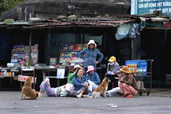 Sổ tay du lịch so tay du lich Sotaydulich Sotay Dulich Khampha Kham Pha Bui Len dinh deo chiem nguong Hai Van quan