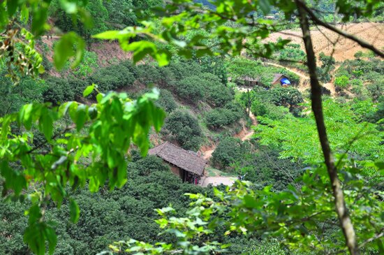 Sổ tay du lịch so tay du lich Sotaydulich Sotay Dulich Khampha Kham Pha Bui Trong long ho Cam Son