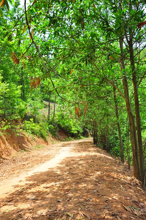 Sổ tay du lịch so tay du lich Sotaydulich Sotay Dulich Khampha Kham Pha Bui Trong long ho Cam Son
