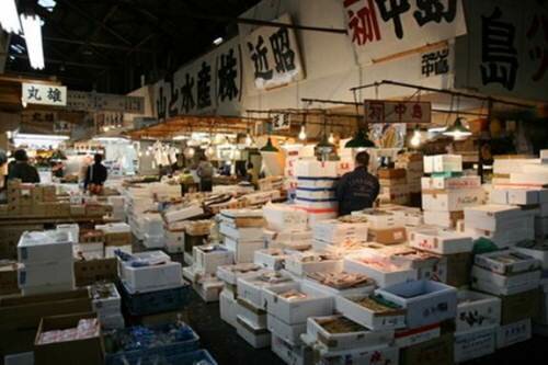 Sổ tay du lịch so tay du lich Sotaydulich Sotay Dulich Khampha Kham Pha Bui Tour tham quan cho ca Tsukiji va tu tay lam sushi