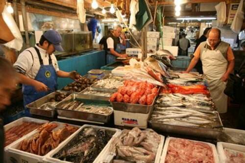 Sổ tay du lịch so tay du lich Sotaydulich Sotay Dulich Khampha Kham Pha Bui Tour tham quan cho ca Tsukiji va tu tay lam sushi