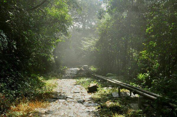 Sổ tay du lịch so tay du lich Sotaydulich Sotay Dulich Khampha Kham Pha Bui Tam Dao thi tran trong may
