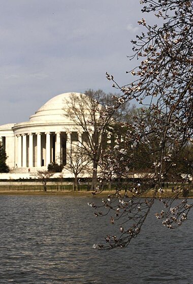 Sổ tay du lịch so tay du lich Sotaydulich Sotay Dulich Khampha Kham Pha Bui Washington DC ruc ro sac hoa anh dao
