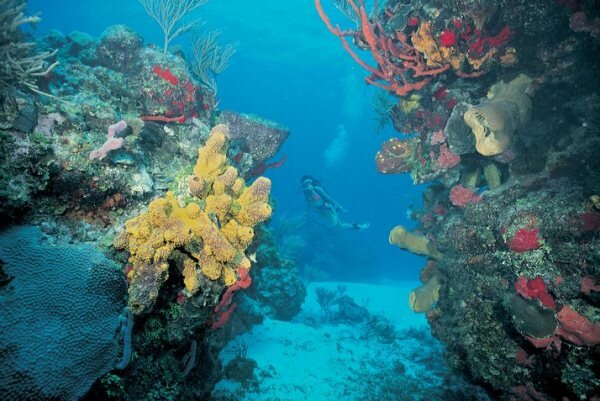 Sổ tay du lịch so tay du lich Sotaydulich Sotay Dulich Khampha Kham Pha Bui Cancun quyen ru nhu nang tien