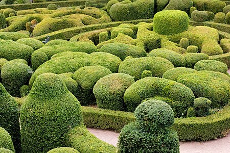 Sổ tay du lịch so tay du lich Sotaydulich Sotay Dulich Khampha Kham Pha Bui Ve dep me hoac cua khu vuon Marqueyssac