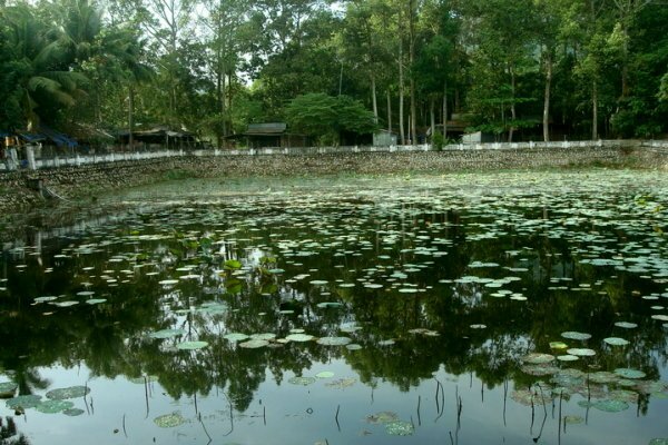 Sổ tay du lịch so tay du lich Sotaydulich Sotay Dulich Khampha Kham Pha Bui Ve tham Trai ruong Thoi Son