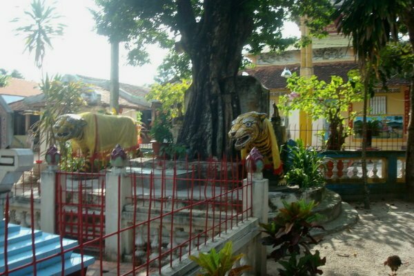 Sổ tay du lịch so tay du lich Sotaydulich Sotay Dulich Khampha Kham Pha Bui Ve tham Trai ruong Thoi Son