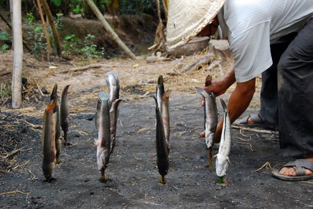 Sổ tay du lịch so tay du lich Sotaydulich Sotay Dulich Khampha Kham Pha Bui Ve mien Tay an ca loc chong nguoc