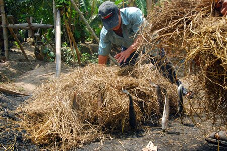 Sổ tay du lịch so tay du lich Sotaydulich Sotay Dulich Khampha Kham Pha Bui Ve mien Tay an ca loc chong nguoc