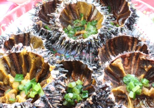 Sổ tay du lịch so tay du lich Sotaydulich Sotay Dulich Khampha Kham Pha Bui Nhum mon ngon hao hang