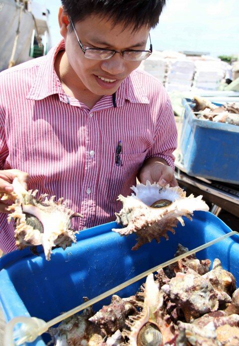 Sổ tay du lịch so tay du lich Sotaydulich Sotay Dulich Khampha Kham Pha Bui Dao phu quy hon dao day tiem nang