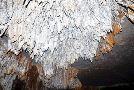 Sổ tay du lịch so tay du lich Sotaydulich Sotay Dulich Khampha Kham Pha Bui Ho Dong Tien hang dong ky thu o Vinh Ha Long
