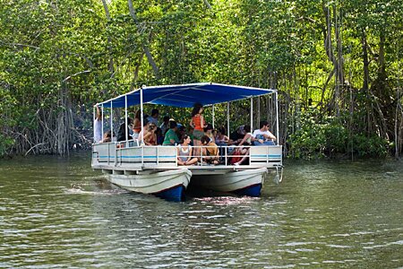 Sổ tay du lịch so tay du lich Sotaydulich Sotay Dulich Khampha Kham Pha Bui Jamaica thien duong trang mat ngot ngao