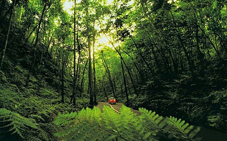 Sổ tay du lịch so tay du lich Sotaydulich Sotay Dulich Khampha Kham Pha Bui Jamaica thien duong trang mat ngot ngao