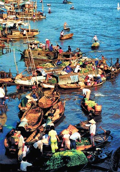  Sổ tay du lịch so tay du lich Sotaydulich Sotay Dulich Khampha Kham Pha Bui Xem chim o Dat Mui