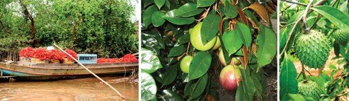  Sổ tay du lịch so tay du lich Sotaydulich Sotay Dulich Khampha Kham Pha Bui Xem chim o Dat Mui