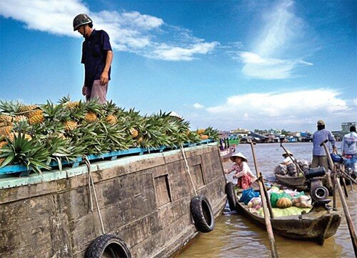  Sổ tay du lịch so tay du lich Sotaydulich Sotay Dulich Khampha Kham Pha Bui Xem chim o Dat Mui