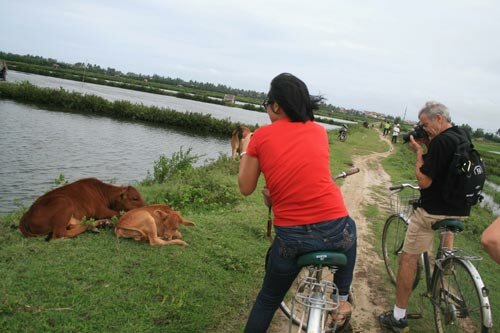 Sổ tay du lịch so tay du lich Sotaydulich Sotay Dulich Khampha Kham Pha Bui Co mot Hoi An Khac