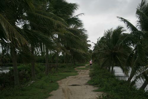 Sổ tay du lịch so tay du lich Sotaydulich Sotay Dulich Khampha Kham Pha Bui Co mot Hoi An Khac