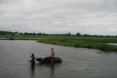 Sổ tay du lịch so tay du lich Sotaydulich Sotay Dulich Khampha Kham Pha Bui Co mot Hoi An Khac