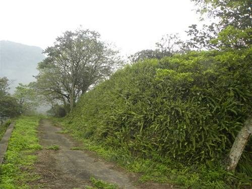Sổ tay du lịch so tay du lich Sotaydulich Sotay Dulich Khampha Kham Pha Bui Kham pha dau tich Phap o Ba Vi