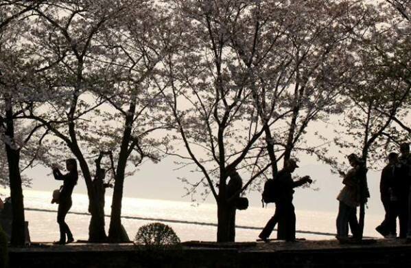 Sổ tay du lịch so tay du lich Sotaydulich Sotay Dulich Khampha Kham Pha Bui Thuong lam hoa anh dao tu dong sang tay