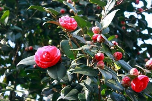 Sổ tay du lịch so tay du lich Sotaydulich Sotay Dulich Khampha Kham Pha Bui Cuoi tuan leo nui Munsu