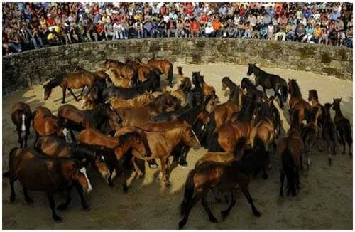Sổ tay du lịch so tay du lich Sotaydulich Sotay Dulich Khampha Kham Pha Bui Rapa Das Bestas le hoi thuan ngua Tay Ban Nha