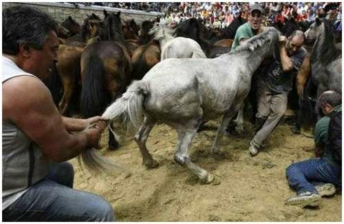 Sổ tay du lịch so tay du lich Sotaydulich Sotay Dulich Khampha Kham Pha Bui Rapa Das Bestas le hoi thuan ngua Tay Ban Nha