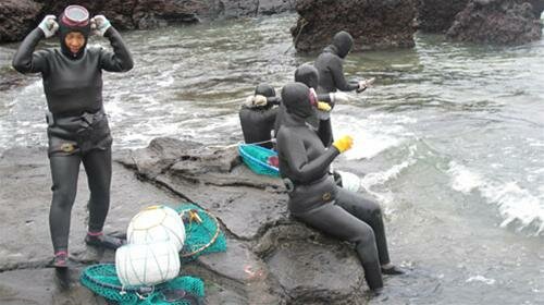 Sổ tay du lịch so tay du lich Sotaydulich Sotay Dulich Khampha Kham Pha Bui nguoi ca o dao Jeju
