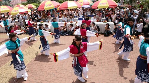 Sổ tay du lịch so tay du lich Sotaydulich Sotay Dulich Khampha Kham Pha Bui Sac hoa anh dao Nhat giua nang he Sai Gon