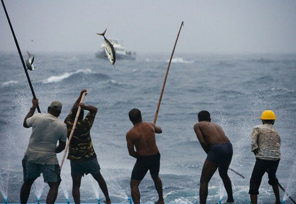 Sổ tay du lịch so tay du lich Sotaydulich Sotay Dulich Khampha Kham Pha Bui Danh bat ca ngu tren quan dao Maldives