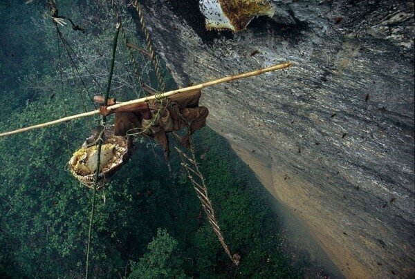 Sổ tay du lịch so tay du lich Sotaydulich Sotay Dulich Khampha Kham Pha Bui San mat ong o Nepal