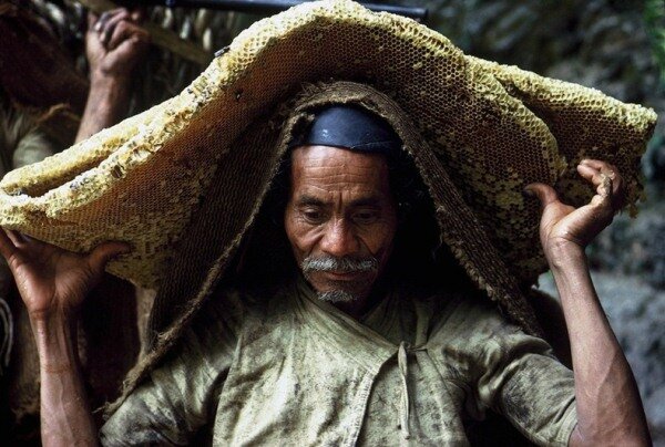 Sổ tay du lịch so tay du lich Sotaydulich Sotay Dulich Khampha Kham Pha Bui San mat ong o Nepal