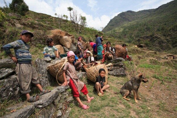 Sổ tay du lịch so tay du lich Sotaydulich Sotay Dulich Khampha Kham Pha Bui San mat ong o Nepal