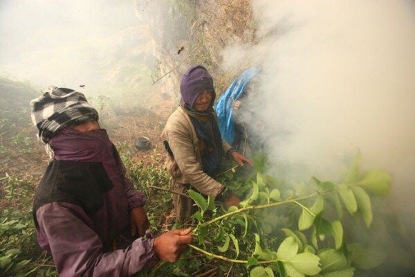 Sổ tay du lịch so tay du lich Sotaydulich Sotay Dulich Khampha Kham Pha Bui San mat ong o Nepal