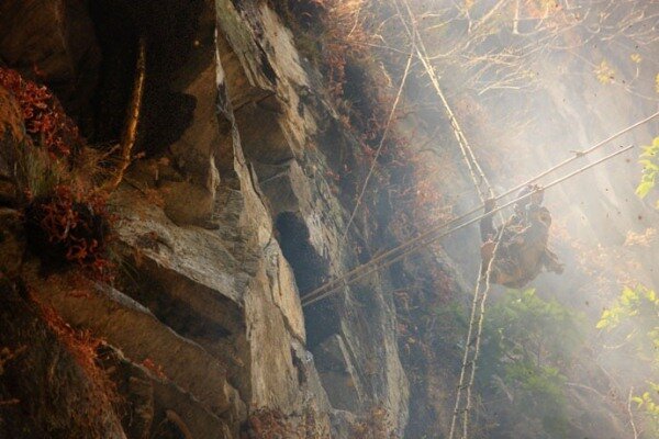 Sổ tay du lịch so tay du lich Sotaydulich Sotay Dulich Khampha Kham Pha Bui San mat ong o Nepal