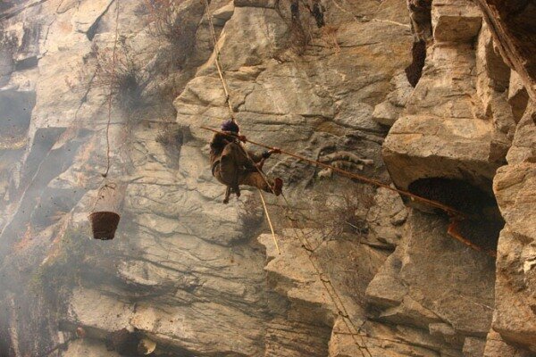 Sổ tay du lịch so tay du lich Sotaydulich Sotay Dulich Khampha Kham Pha Bui San mat ong o Nepal