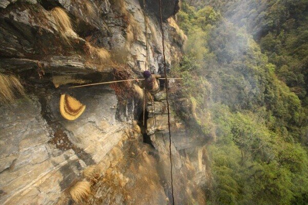 Sổ tay du lịch so tay du lich Sotaydulich Sotay Dulich Khampha Kham Pha Bui San mat ong o Nepal