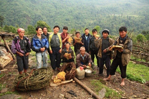 Sổ tay du lịch so tay du lich Sotaydulich Sotay Dulich Khampha Kham Pha Bui San mat ong o Nepal