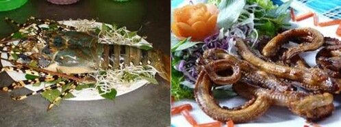 Sổ tay du lịch so tay du lich Sotaydulich Sotay Dulich Khampha Kham Pha Bui Cat Ba dao ngoc diem den ly tuong