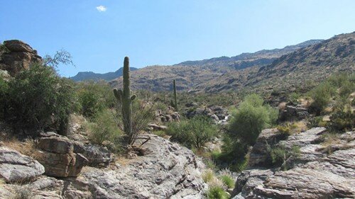 Sổ tay du lịch so tay du lich Sotaydulich Sotay Dulich Khampha Kham Pha Bui Mot thoang Arizona