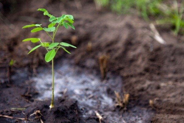 Sổ tay du lịch so tay du lich Sotaydulich Sotay Dulich Khampha Kham Pha Bui Hinh anh muon mat ve hanh tinh xanh Earth day 2012