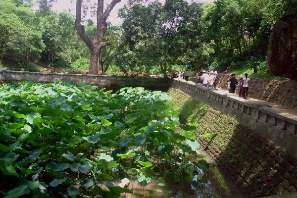  Sổ tay du lịch so tay du lich Sotaydulich Sotay Dulich Khampha Kham Pha Bui Gieng ngoc o den vua Hung